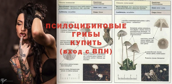 таблы Аркадак